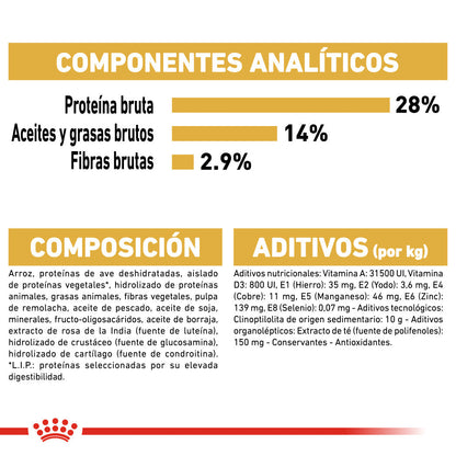 Royal Canin Teckel Dachsund Adulto Pienso para Perros de Raza al mejor precio -Todoanimal.es