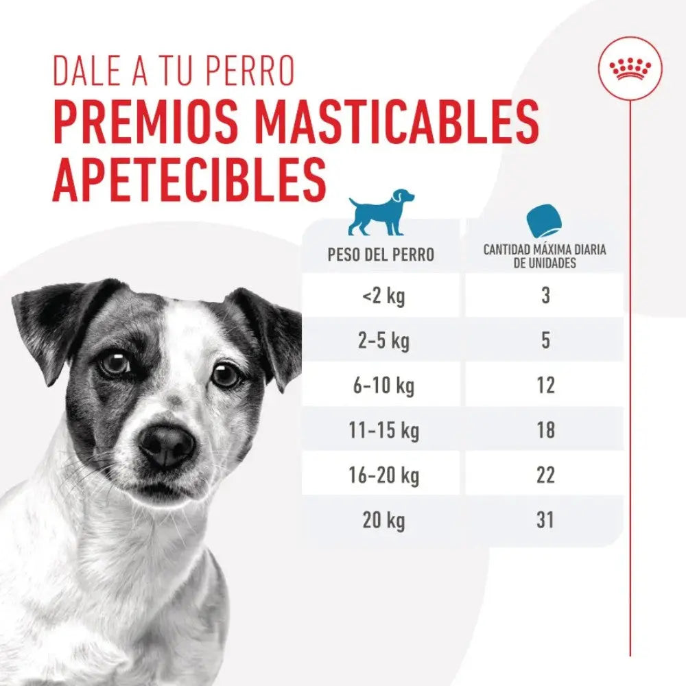 Royal Canin Training 110 g Snack Entrenamiento para Perros al mejor precio -Todoanimal.es