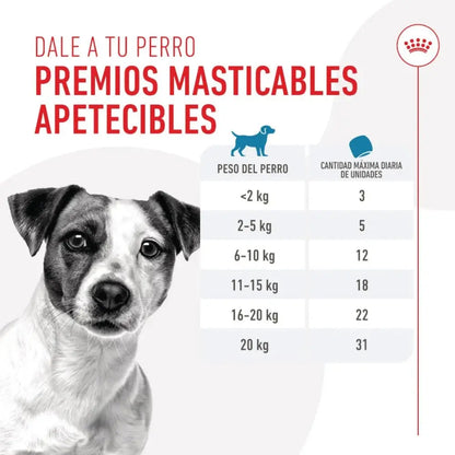 Royal Canin Training 110 g Snack Entrenamiento para Perros al mejor precio -Todoanimal.es
