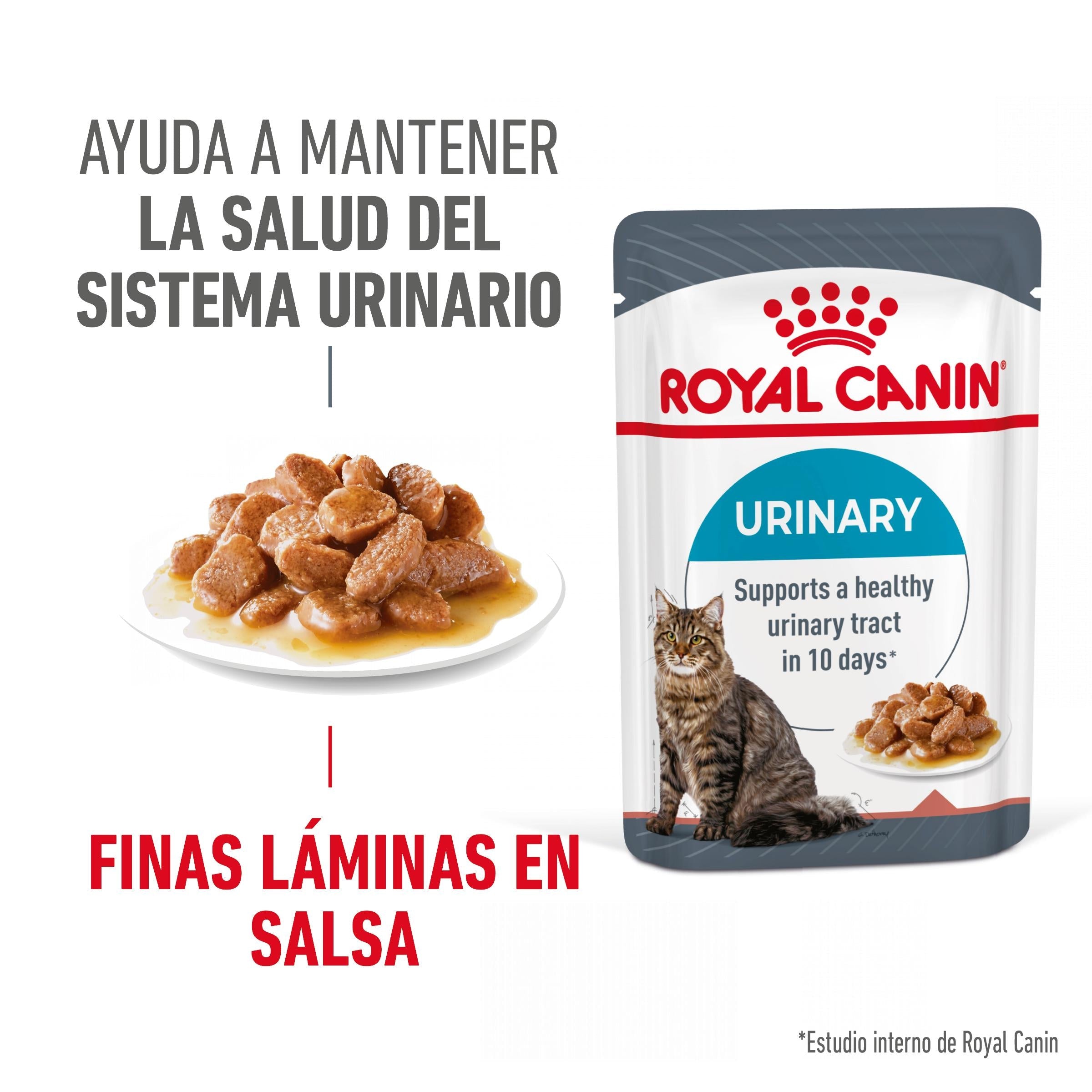 Royal Canin Urinary Care 85 g Salsa Comida Húmeda para Gatos al mejor precio -Todoanimal.es