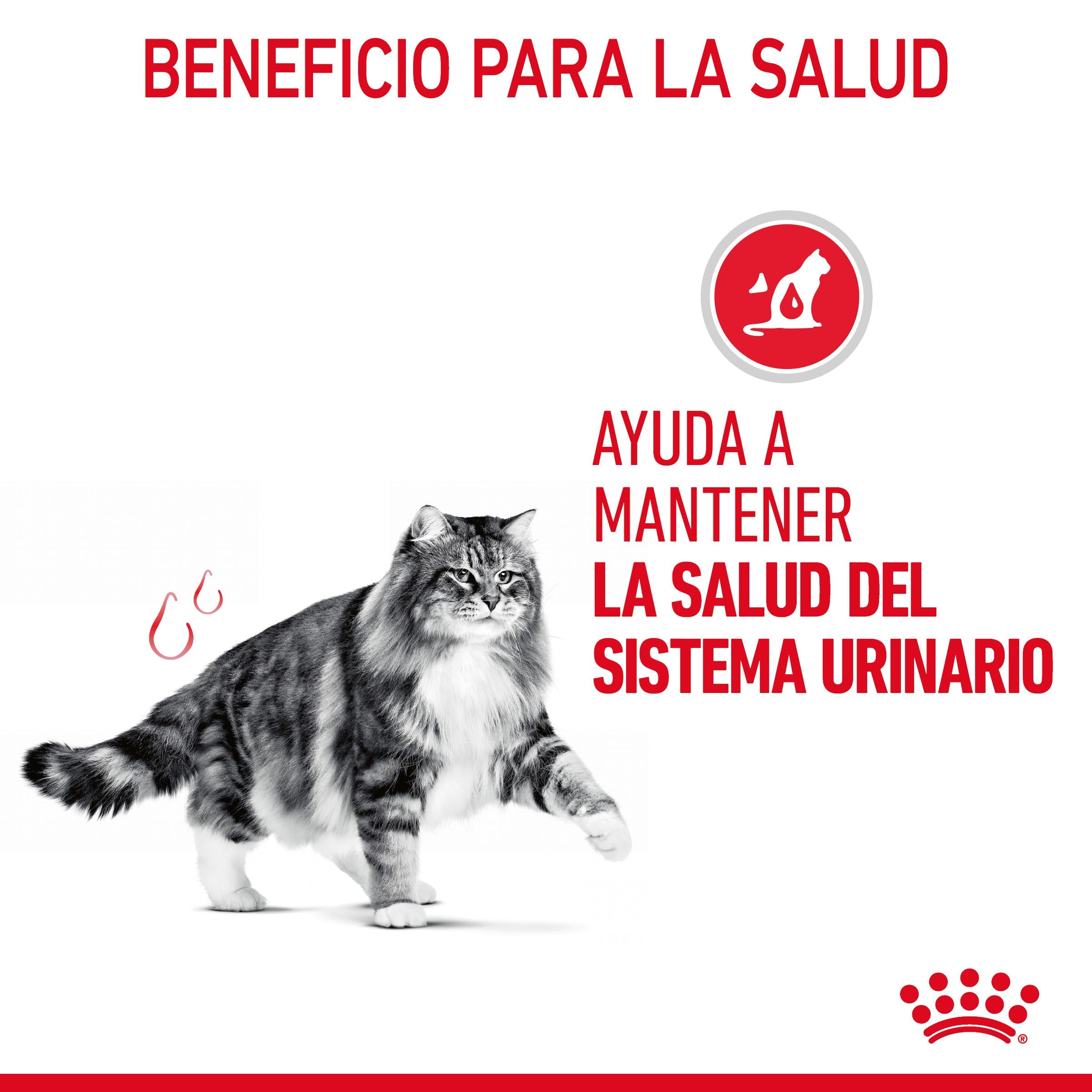 Royal Canin Urinary Care 85 g Salsa Comida Húmeda para Gatos al mejor precio -Todoanimal.es