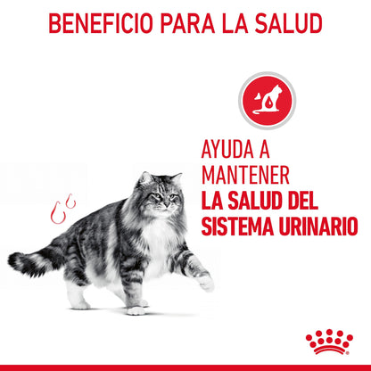 Royal Canin Urinary Care 85 g Salsa Comida Húmeda para Gatos al mejor precio -Todoanimal.es