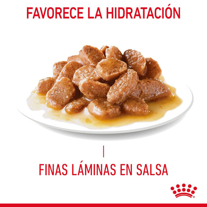 Royal Canin Urinary Care 85 g Salsa Comida Húmeda para Gatos al mejor precio -Todoanimal.es