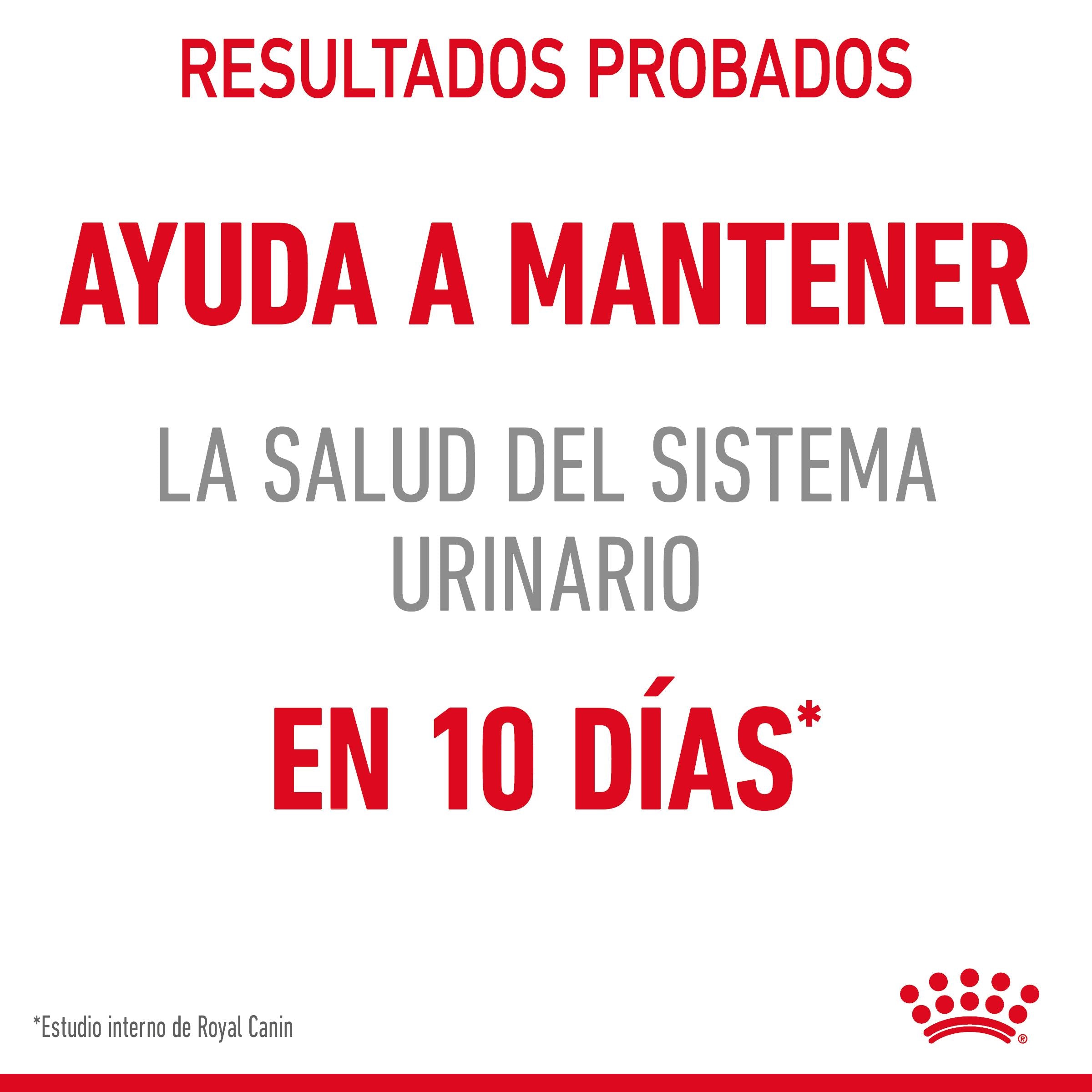 Royal Canin Urinary Care 85 g Salsa Comida Húmeda para Gatos al mejor precio -Todoanimal.es