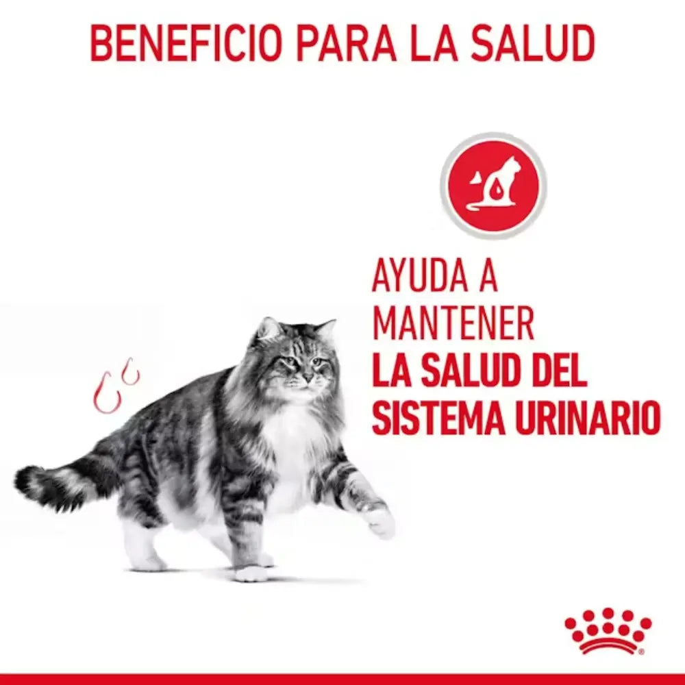 Royal Canin Urinary Care Gatos al mejor precio -Todoanimal.es