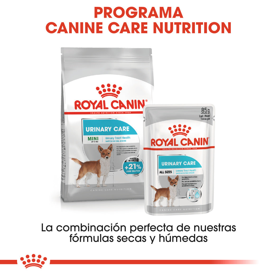 Royal Canin Urinary Care Paté 85 g Comida Húmeda para Perros al mejor precio -Todoanimal.es