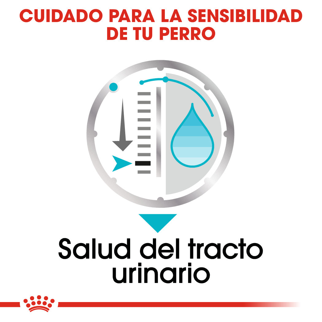 Royal Canin Urinary Care Paté 85 g Comida Húmeda para Perros al mejor precio -Todoanimal.es