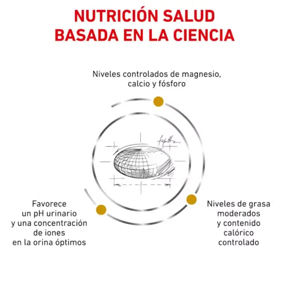 Royal Canin Urinary Moderate Calorie al mejor precio -Todoanimal.es