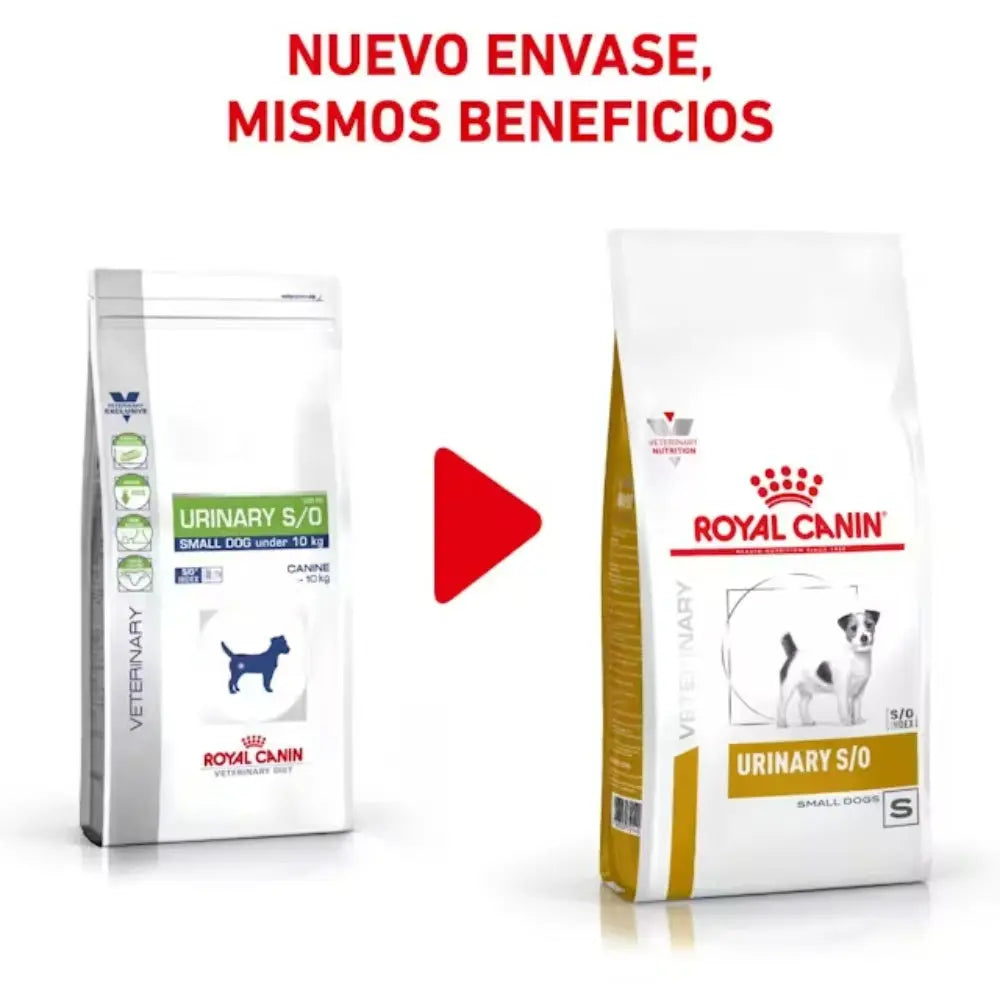 Royal Canin Urinary Small S/O 1.5 kg Alimentación para Perros Pequeños al mejor precio -Todoanimal.es