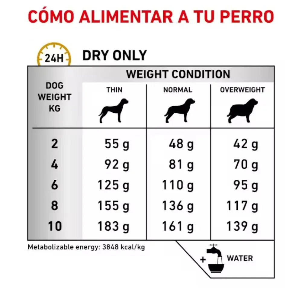 Royal Canin Urinary Small S/O 1.5 kg Alimentación para Perros Pequeños al mejor precio -Todoanimal.es