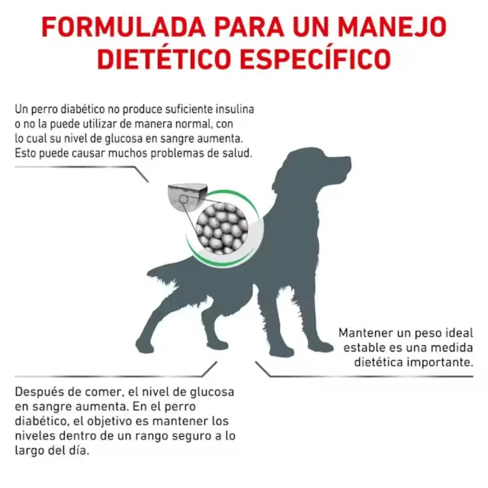 Royal Canin Veterinary Diabetic 12 kg Pienso para Perros Diabéticos al mejor precio -Todoanimal.es