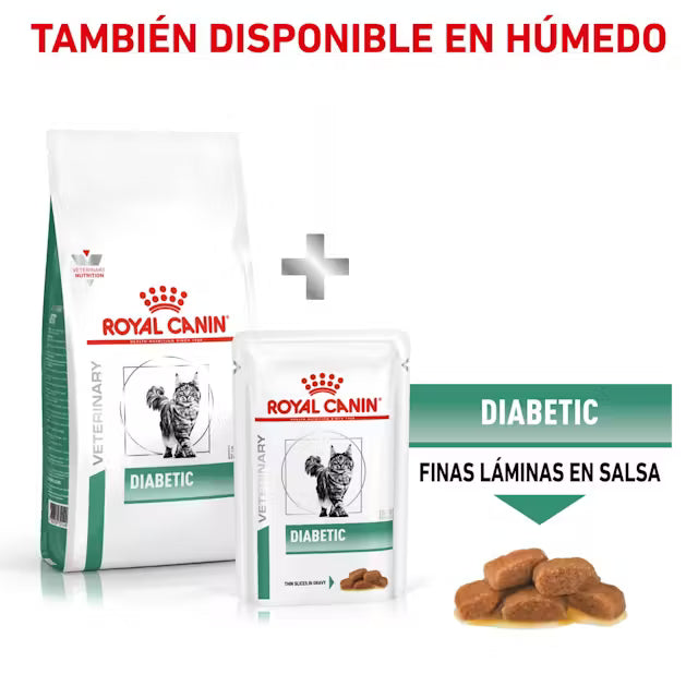 Royal Canin Veterinary Diabetic 85 g Sobre Comida Húmeda para Gatos Diabéticos al mejor precio -Todoanimal.es