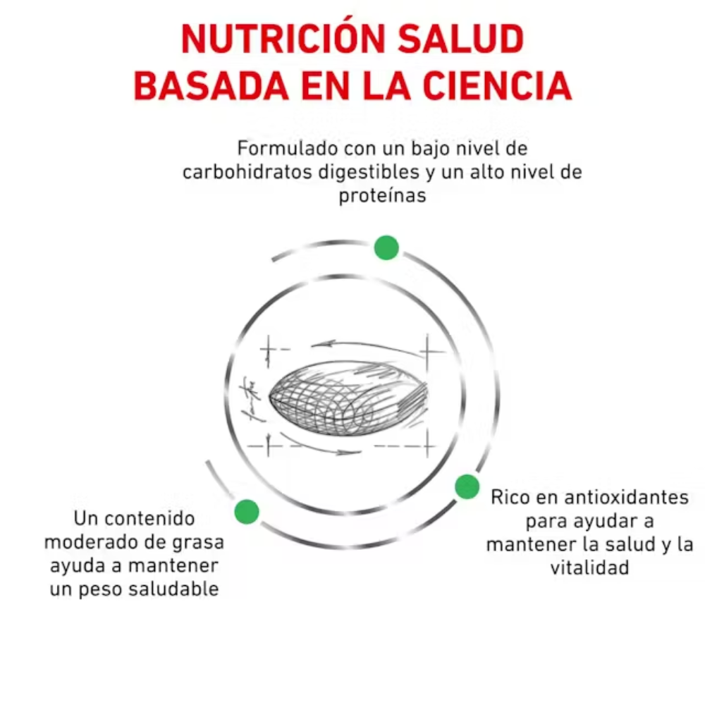 Royal Canin Veterinary Diabetic Pienso para Gatos Diabéticos al mejor precio -Todoanimal.es