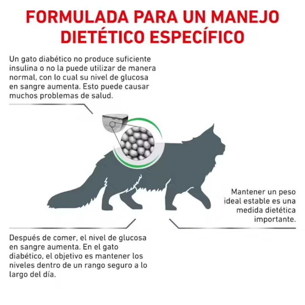 Royal Canin Veterinary Diabetic Pienso para Gatos Diabéticos al mejor precio -Todoanimal.es