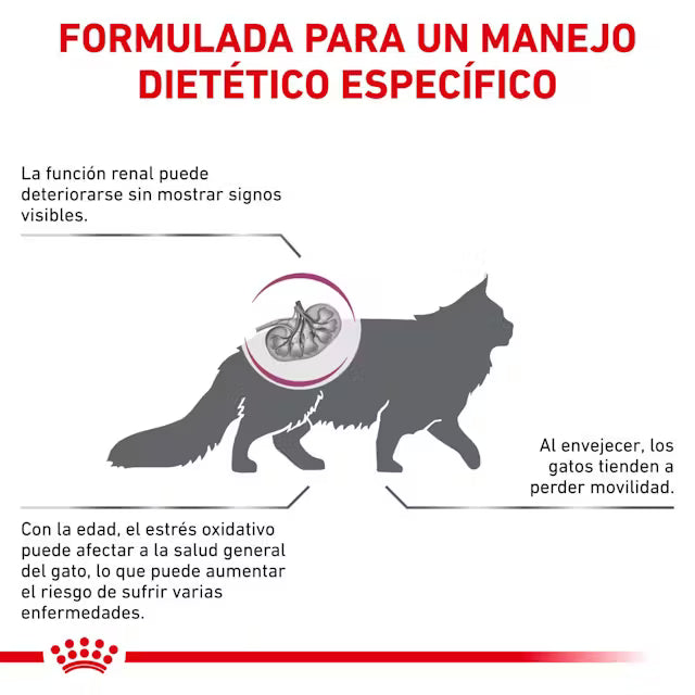 Royal Canin Veterinary Early Renal 1,5 kg Pienso para Gato al mejor precio -Todoanimal.es