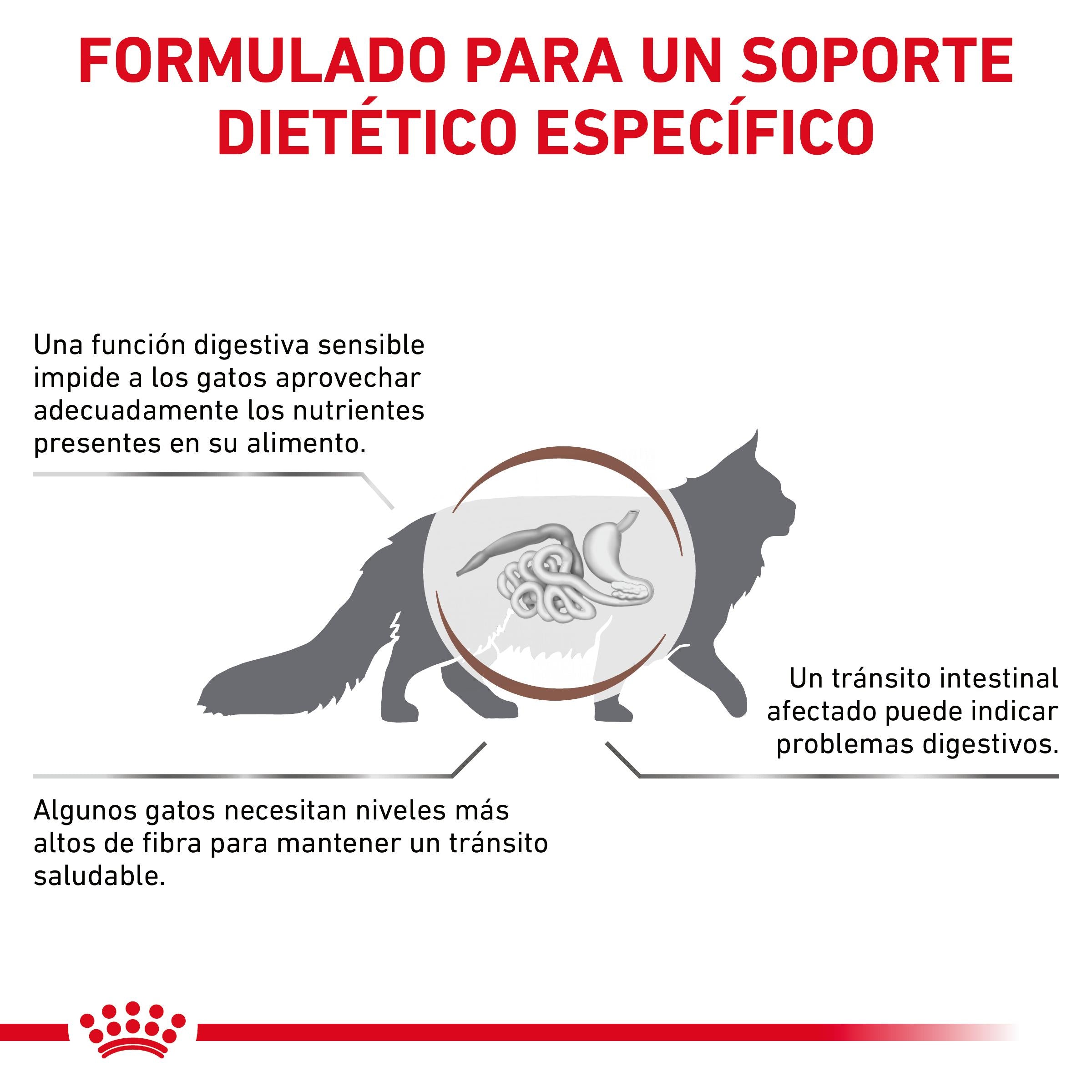 Royal Canin Veterinary Fibre Response Pienso Gastrointestinal para Gatos al mejor precio -Todoanimal.es
