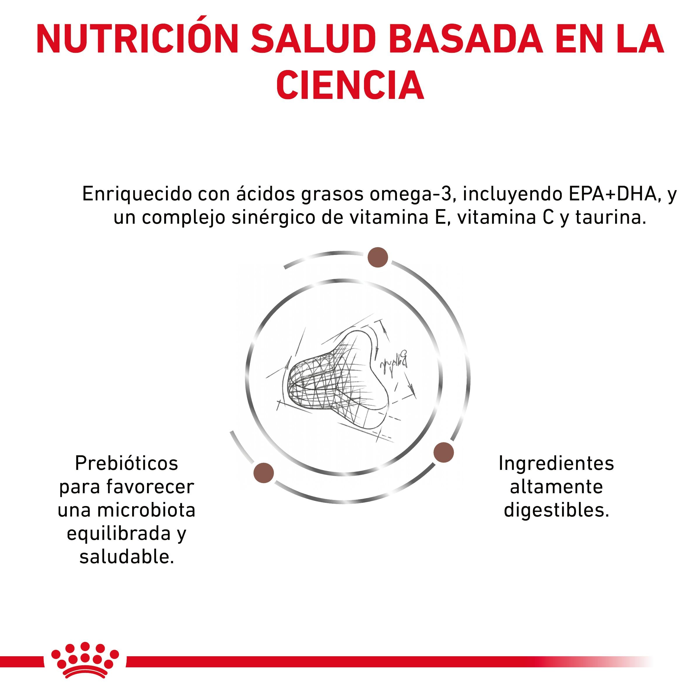 Royal Canin Veterinary Fibre Response Pienso Gastrointestinal para Gatos al mejor precio -Todoanimal.es