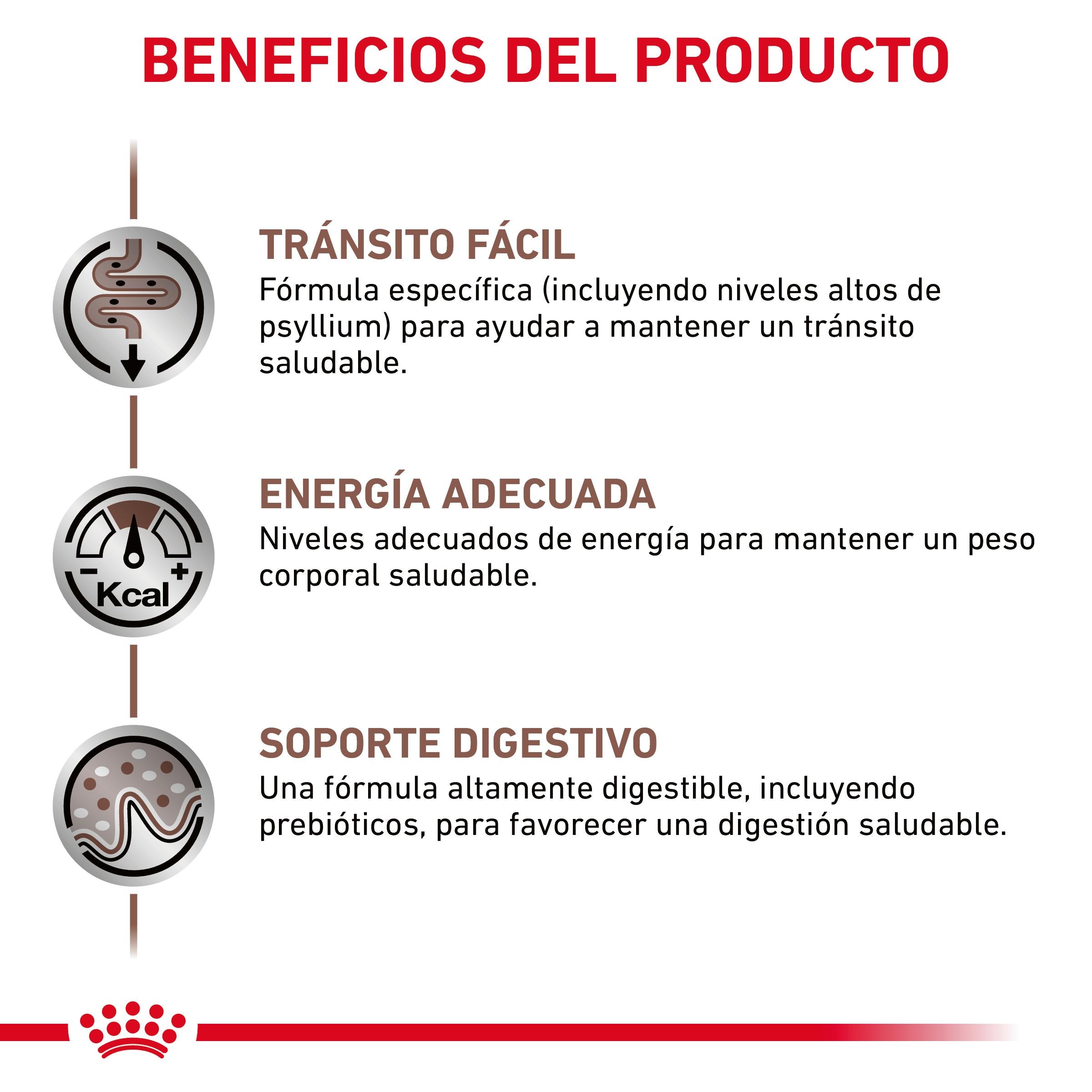 Royal Canin Veterinary Fibre Response Pienso Gastrointestinal para Gatos al mejor precio -Todoanimal.es