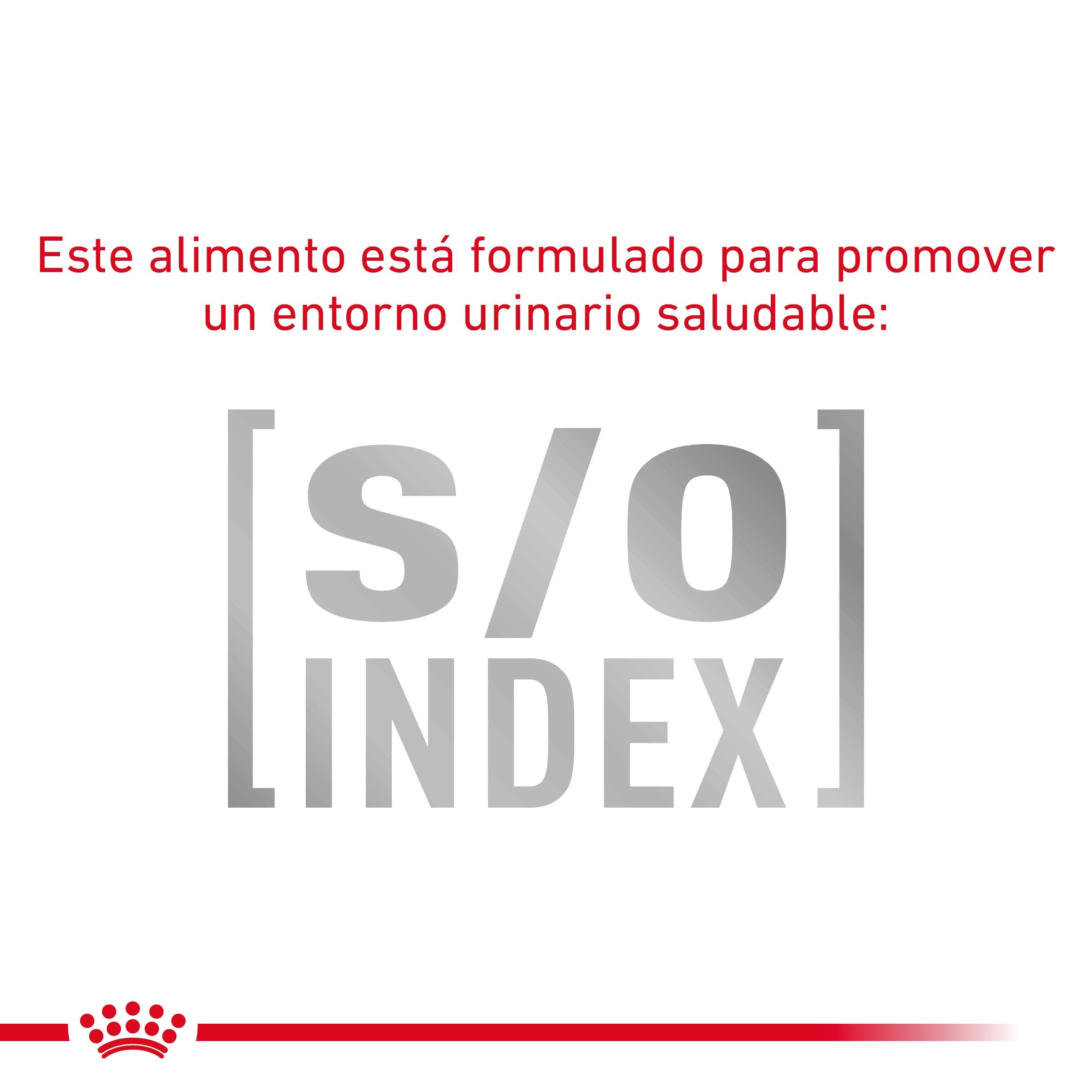 Royal Canin Veterinary Fibre Response Pienso Gastrointestinal para Gatos al mejor precio -Todoanimal.es