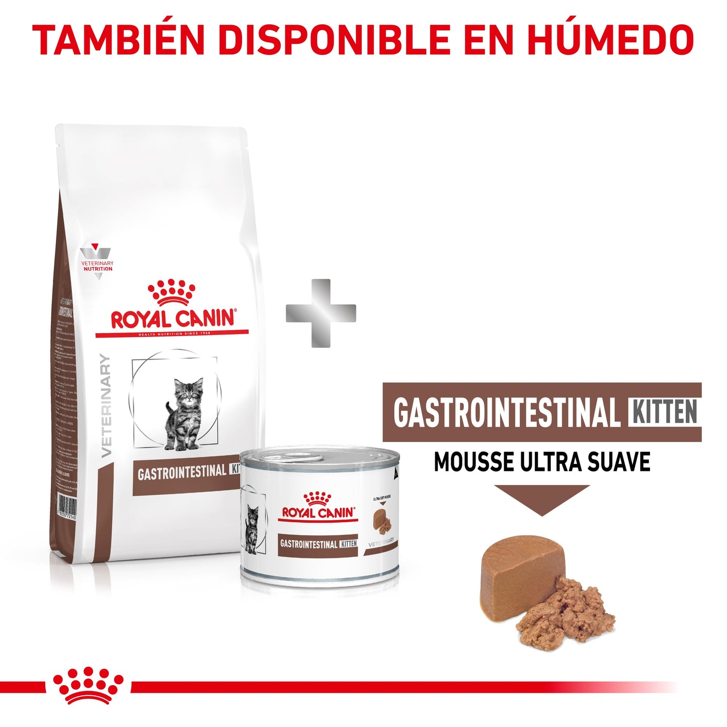 Royal Canin Veterinary Gastrointestinal Kitten Pienso Digestivo para Gatitos al mejor precio -Todoanimal.es
