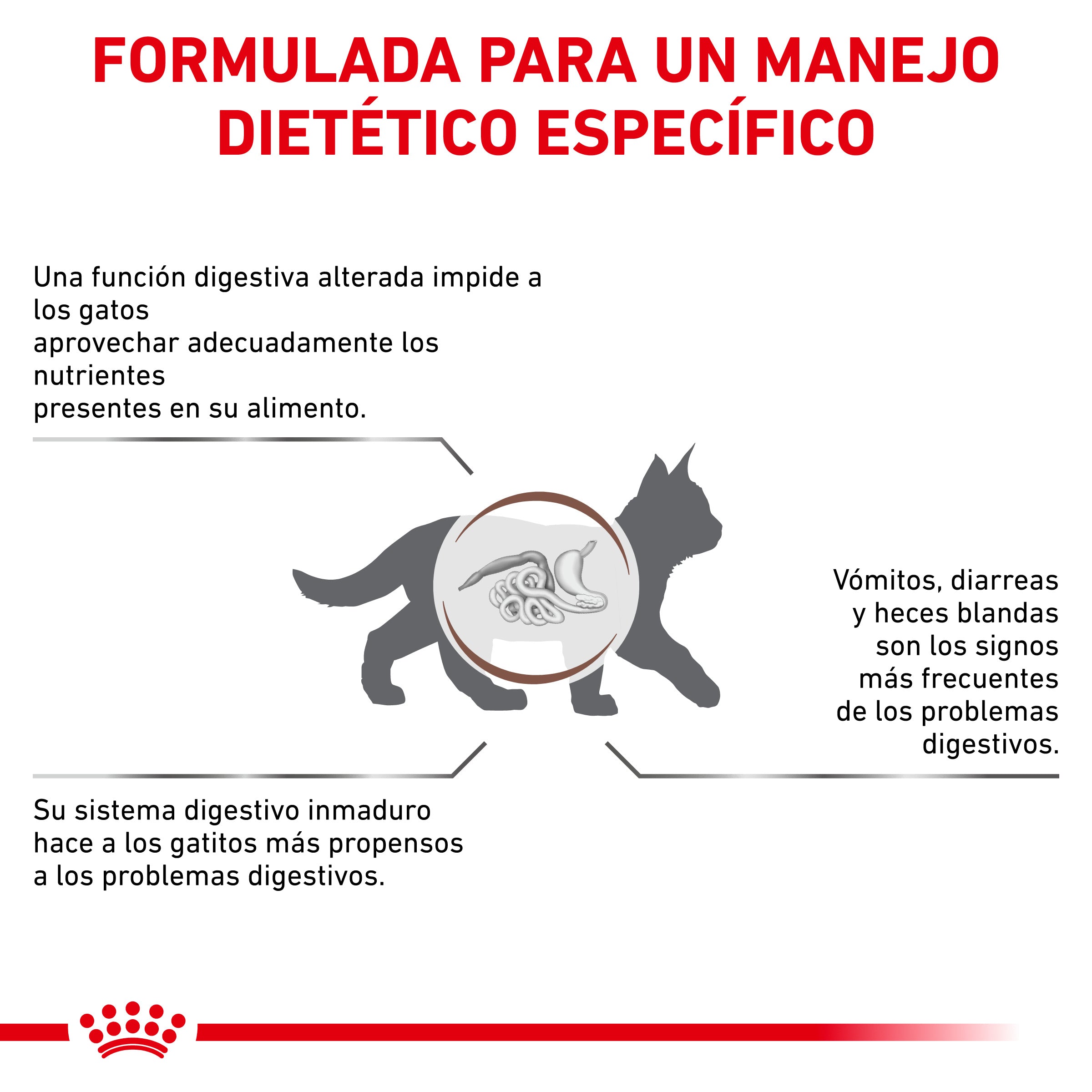 Royal Canin Veterinary Gastrointestinal Kitten Pienso Digestivo para Gatitos al mejor precio -Todoanimal.es