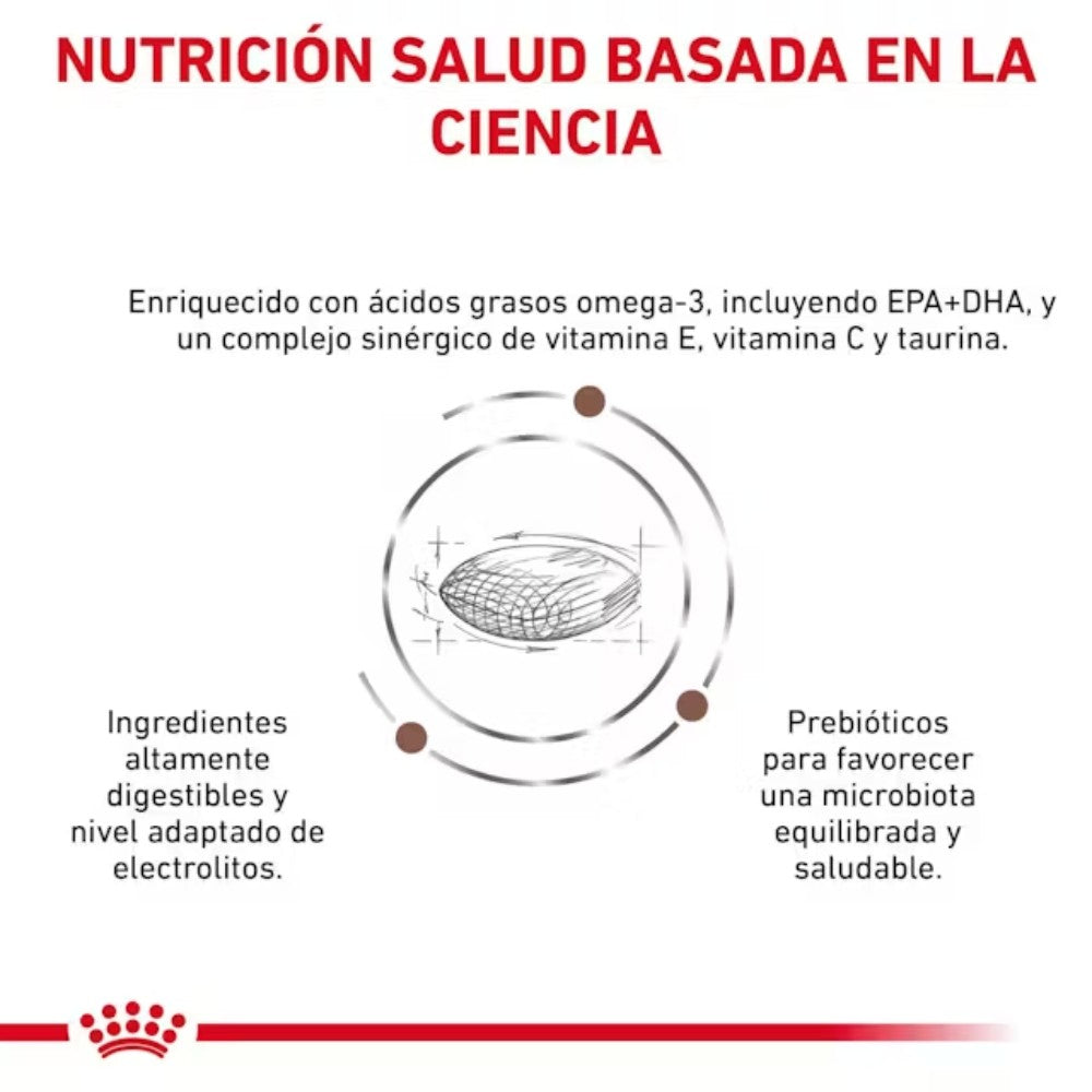 Royal Canin Veterinary Gastrointestinal Low Fat Small Dog Pienso para Perros al mejor precio -Todoanimal.es