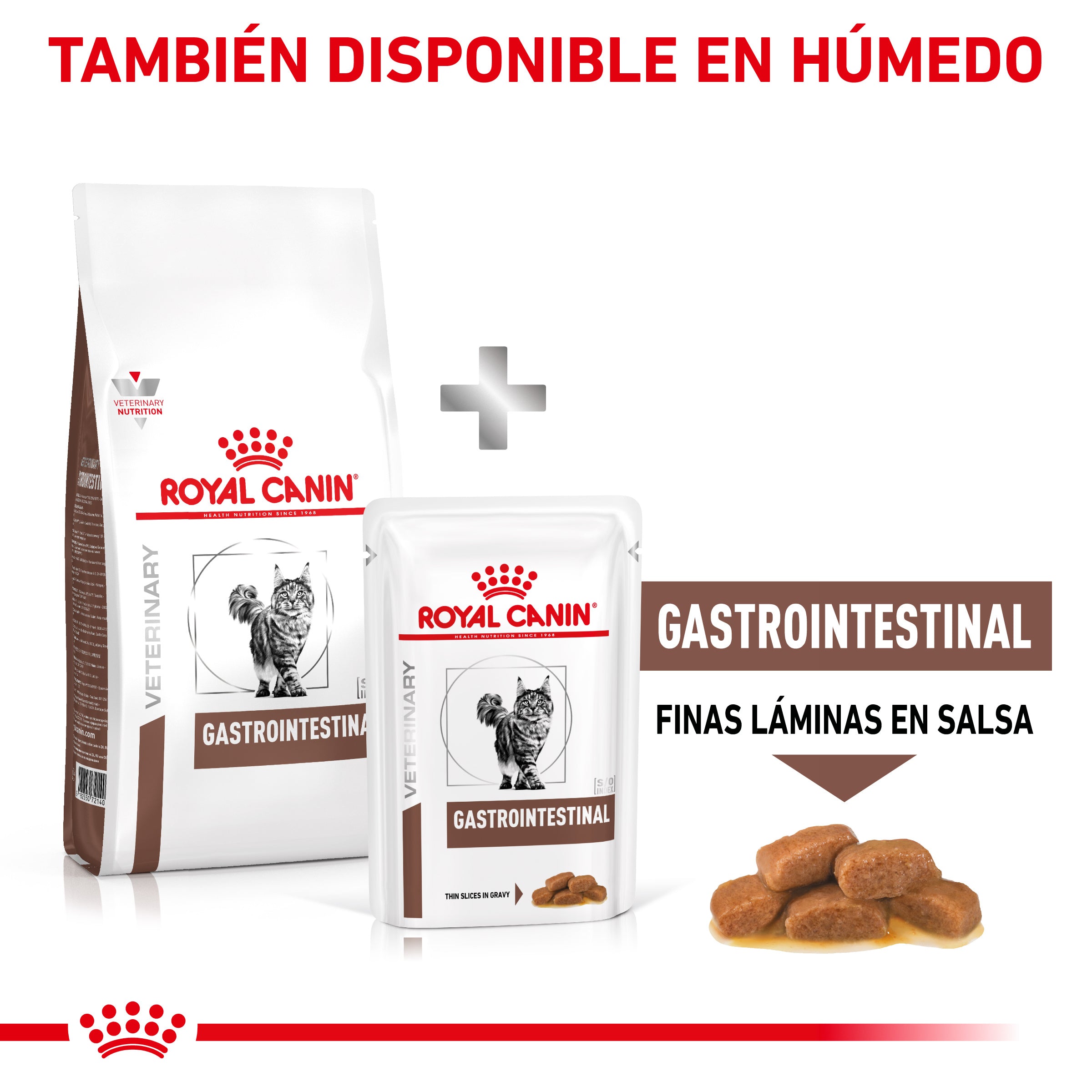 Royal Canin Veterinary Gastrointestinal Pienso para Gatos al mejor precio -Todoanimal.es