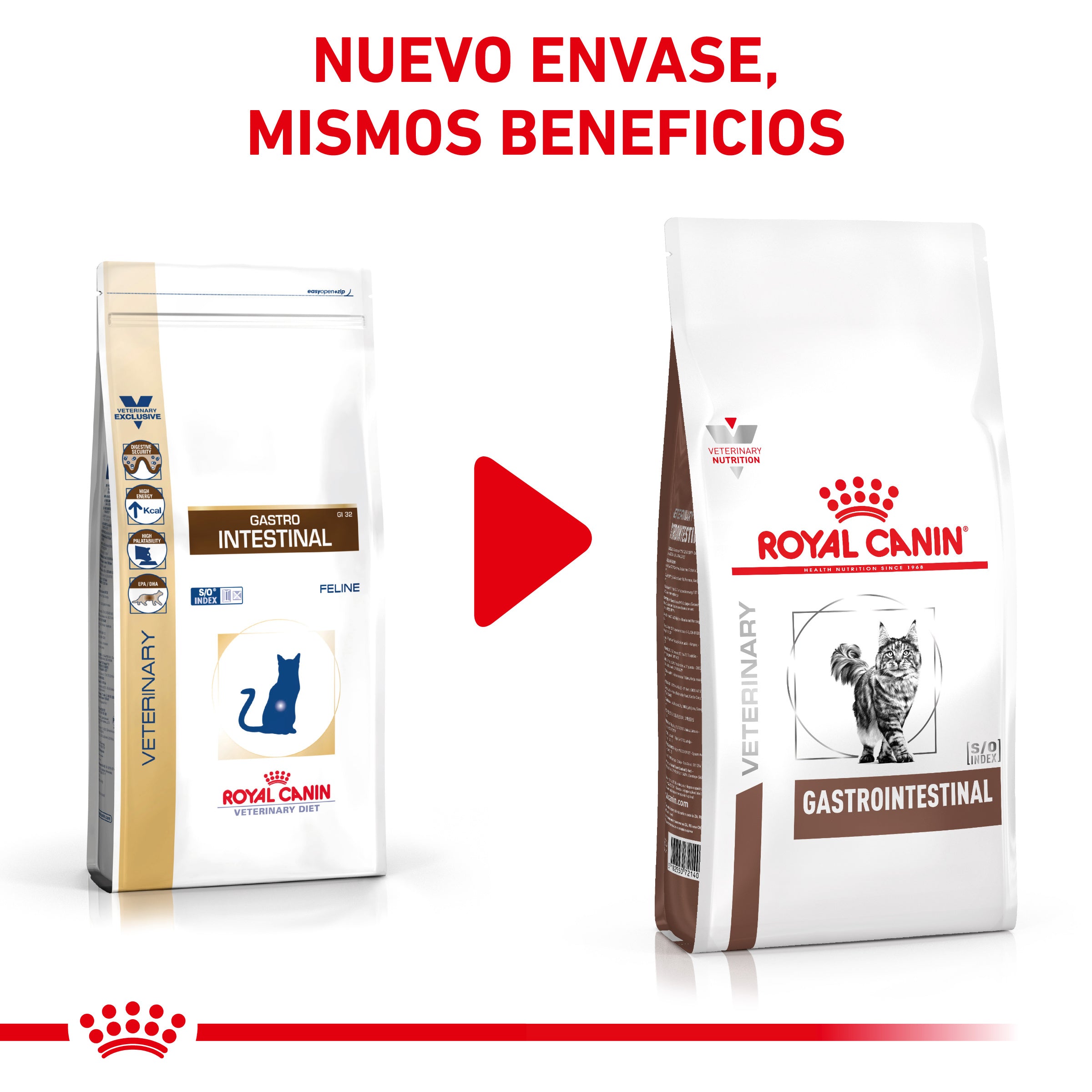 Royal Canin Veterinary Gastrointestinal Pienso para Gatos al mejor precio -Todoanimal.es