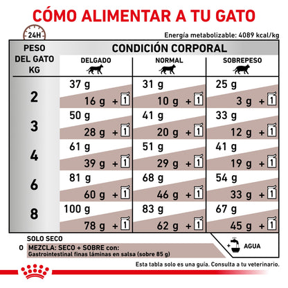 Royal Canin Veterinary Gastrointestinal Pienso para Gatos al mejor precio -Todoanimal.es