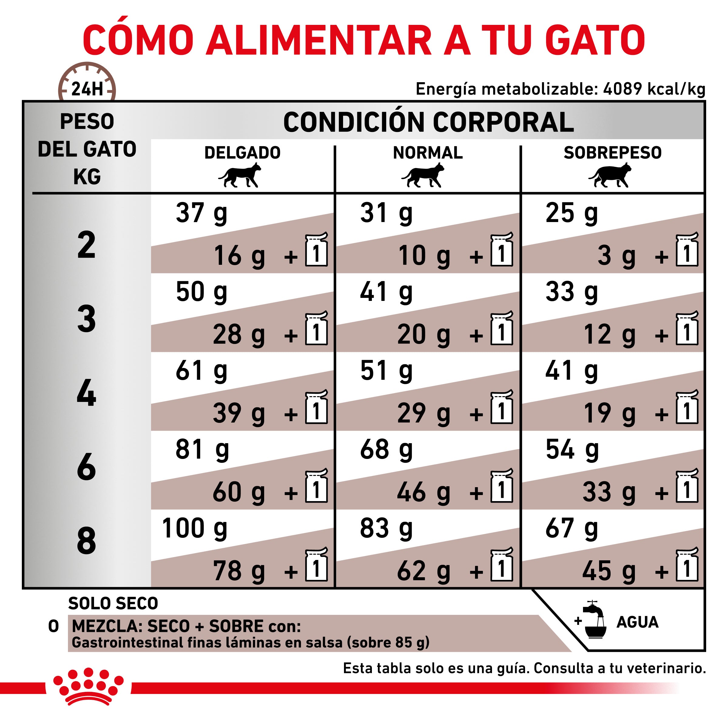 Royal Canin Veterinary Gastrointestinal Pienso para Gatos al mejor precio -Todoanimal.es