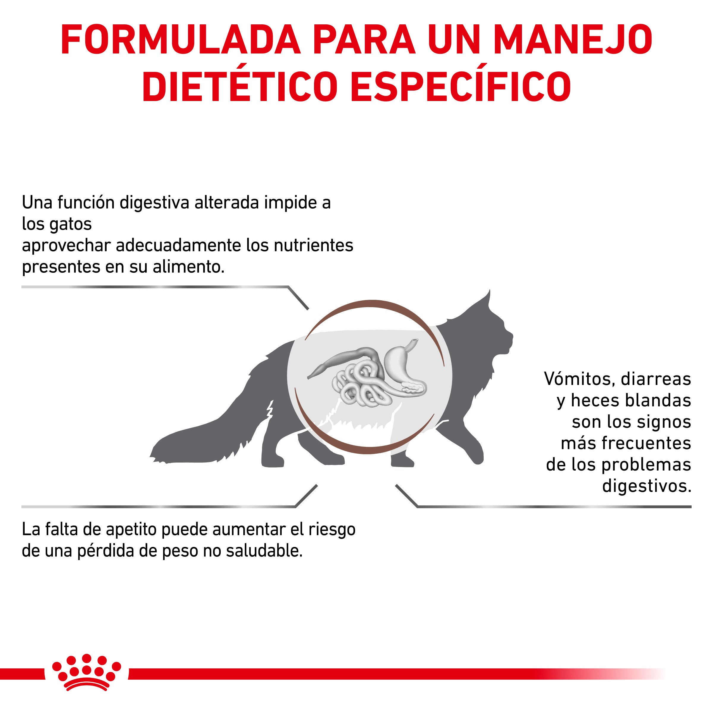 Royal Canin Veterinary Gastrointestinal Pienso para Gatos al mejor precio -Todoanimal.es