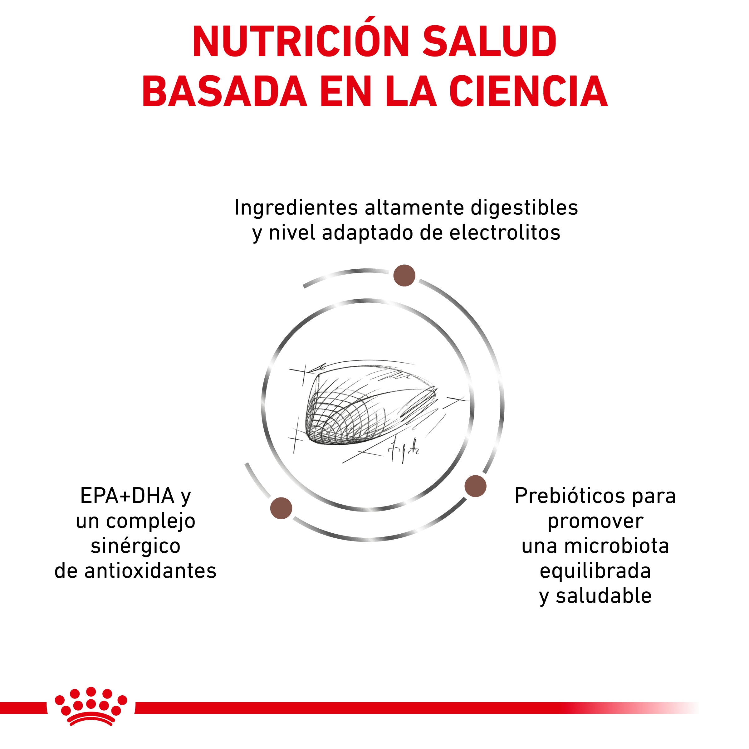 Royal Canin Veterinary Gastrointestinal Pienso para Gatos al mejor precio -Todoanimal.es