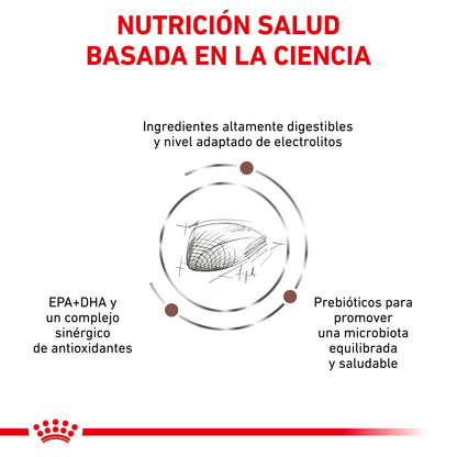 Royal Canin Veterinary Gastrointestinal Pienso para Gatos al mejor precio -Todoanimal.es
