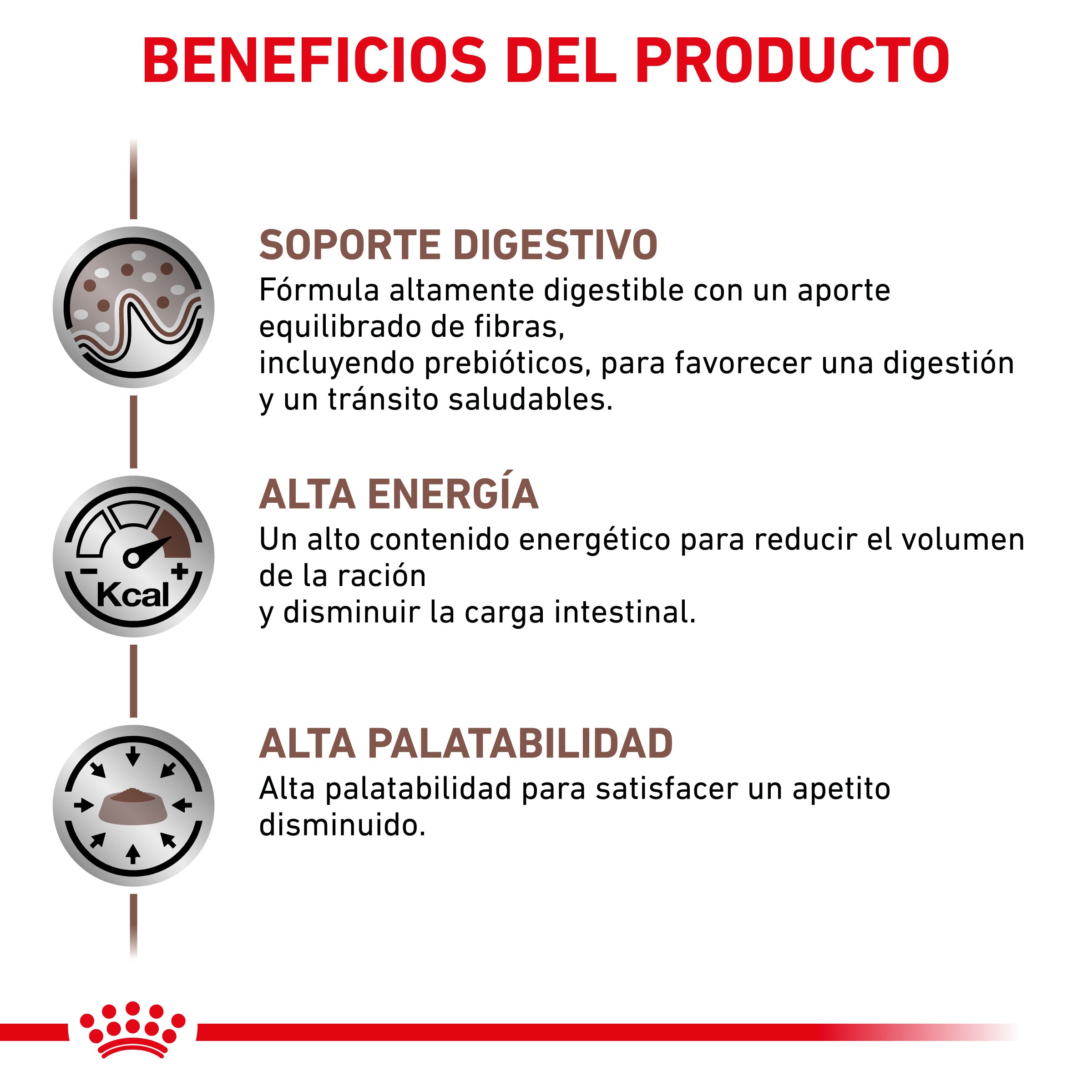 Royal Canin Veterinary Gastrointestinal Pienso para Gatos al mejor precio -Todoanimal.es