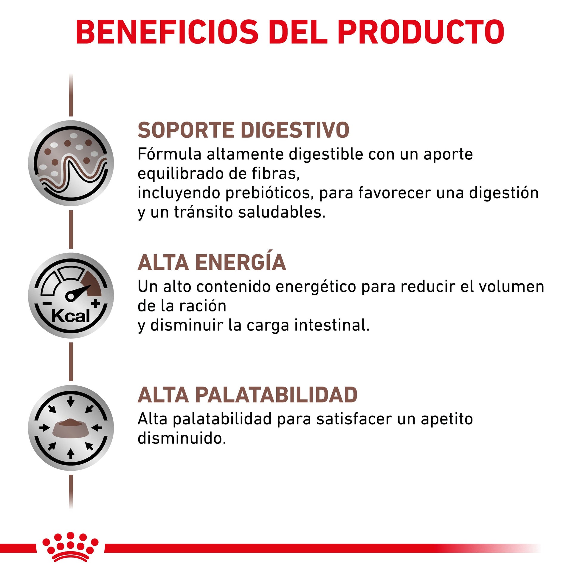 Royal Canin Veterinary Gastrointestinal Pienso para Gatos al mejor precio -Todoanimal.es