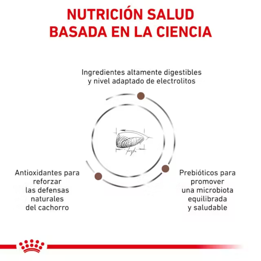 Royal Canin Veterinary Gastrointestinal Puppy 2.5 kg Perro al mejor precio -Todoanimal.es
