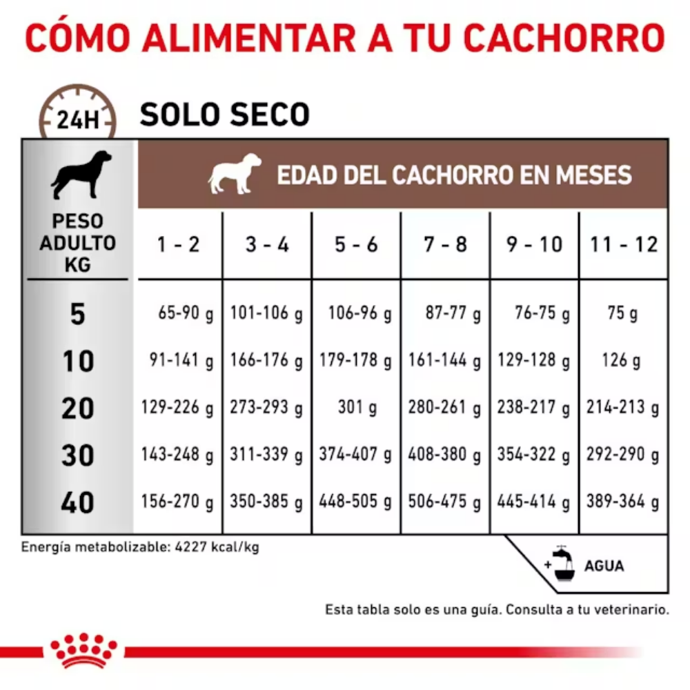 Royal Canin Veterinary Gastrointestinal Puppy 2.5 kg Perro al mejor precio -Todoanimal.es