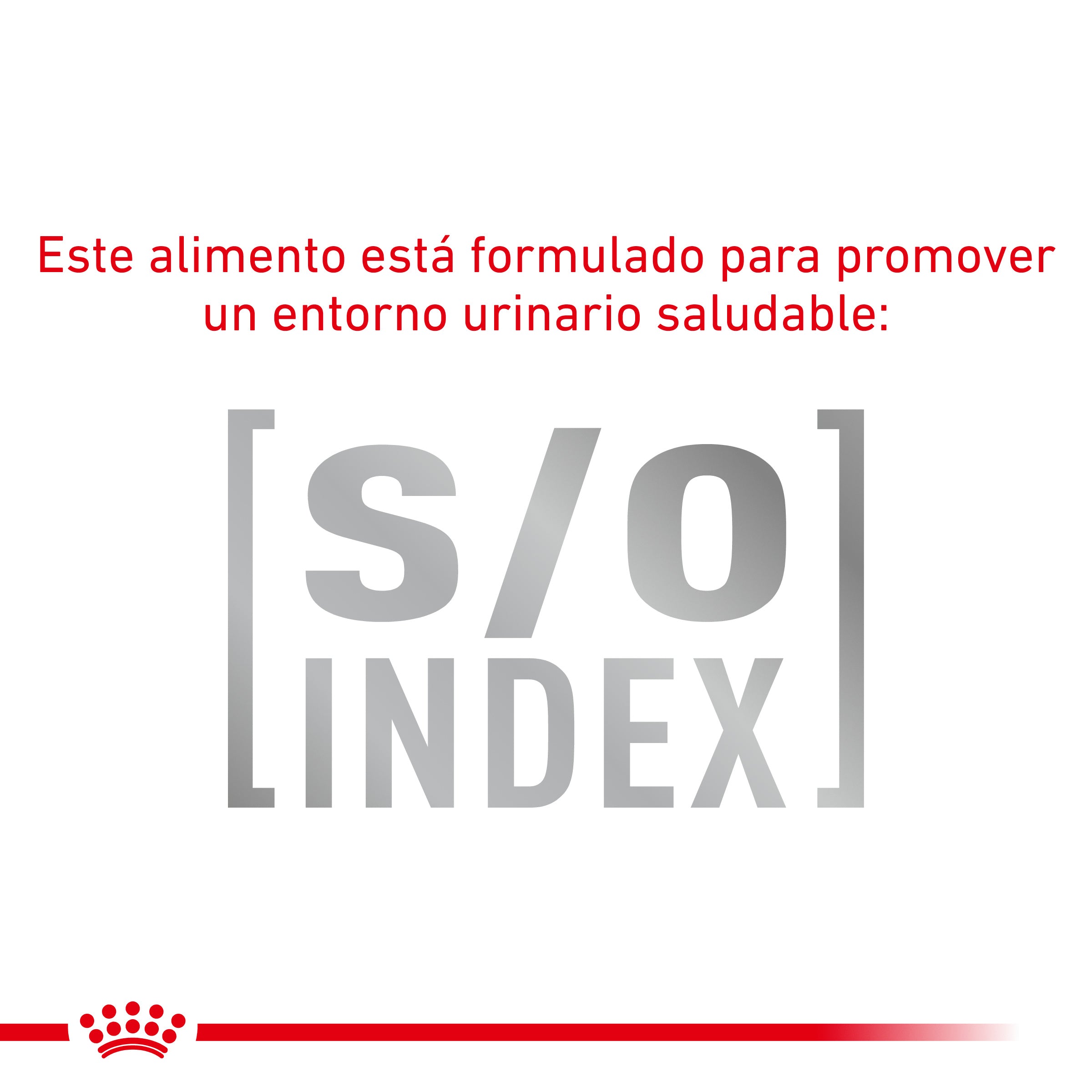 Royal Canin Veterinary Hypoallergenic Pienso para Gatos al mejor precio -Todoanimal.es