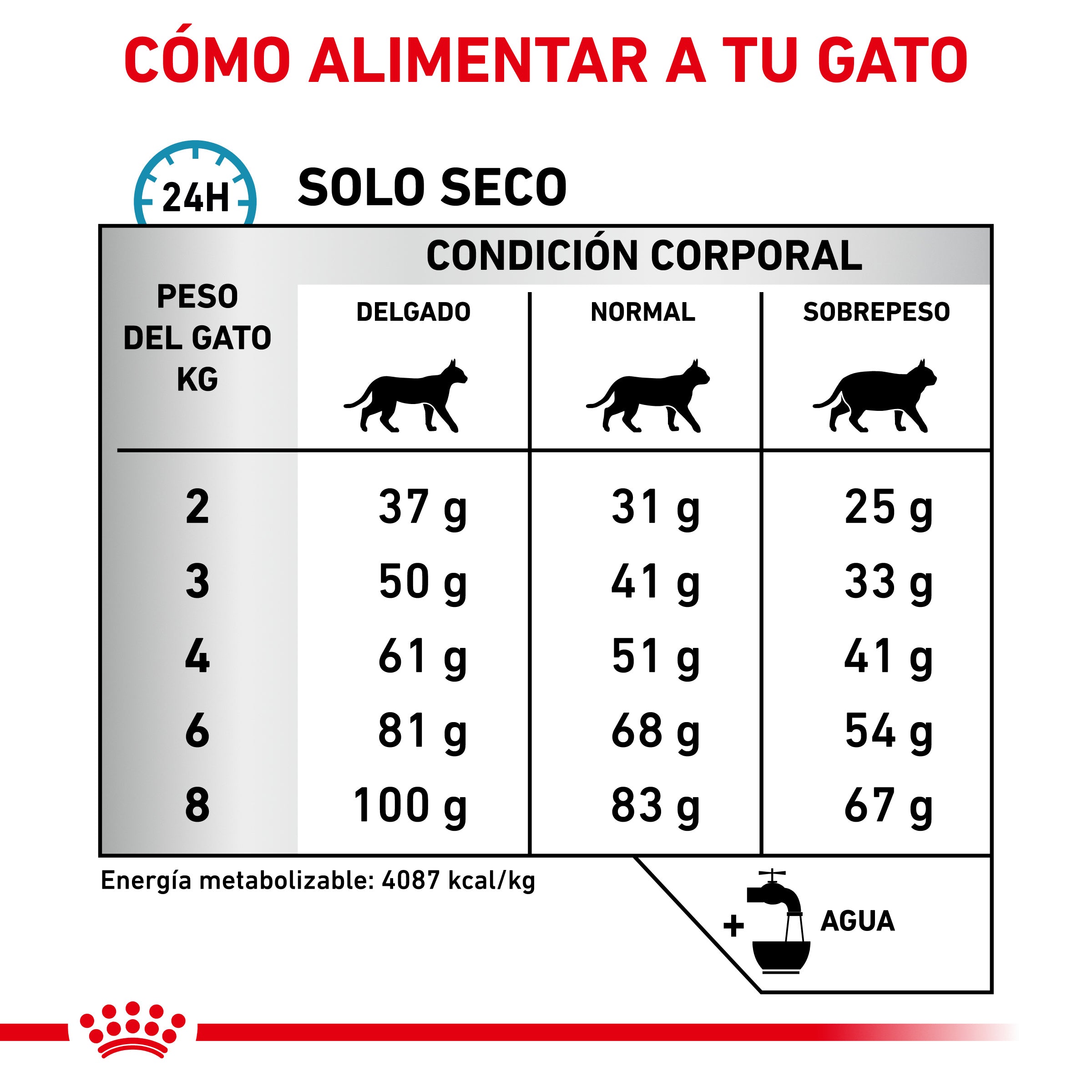 Royal Canin Veterinary Hypoallergenic Pienso para Gatos al mejor precio -Todoanimal.es