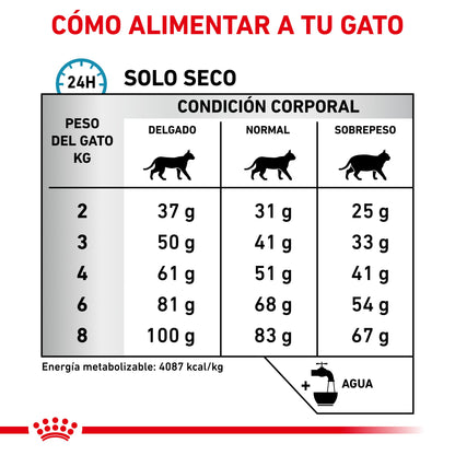 Royal Canin Veterinary Hypoallergenic Pienso para Gatos al mejor precio -Todoanimal.es