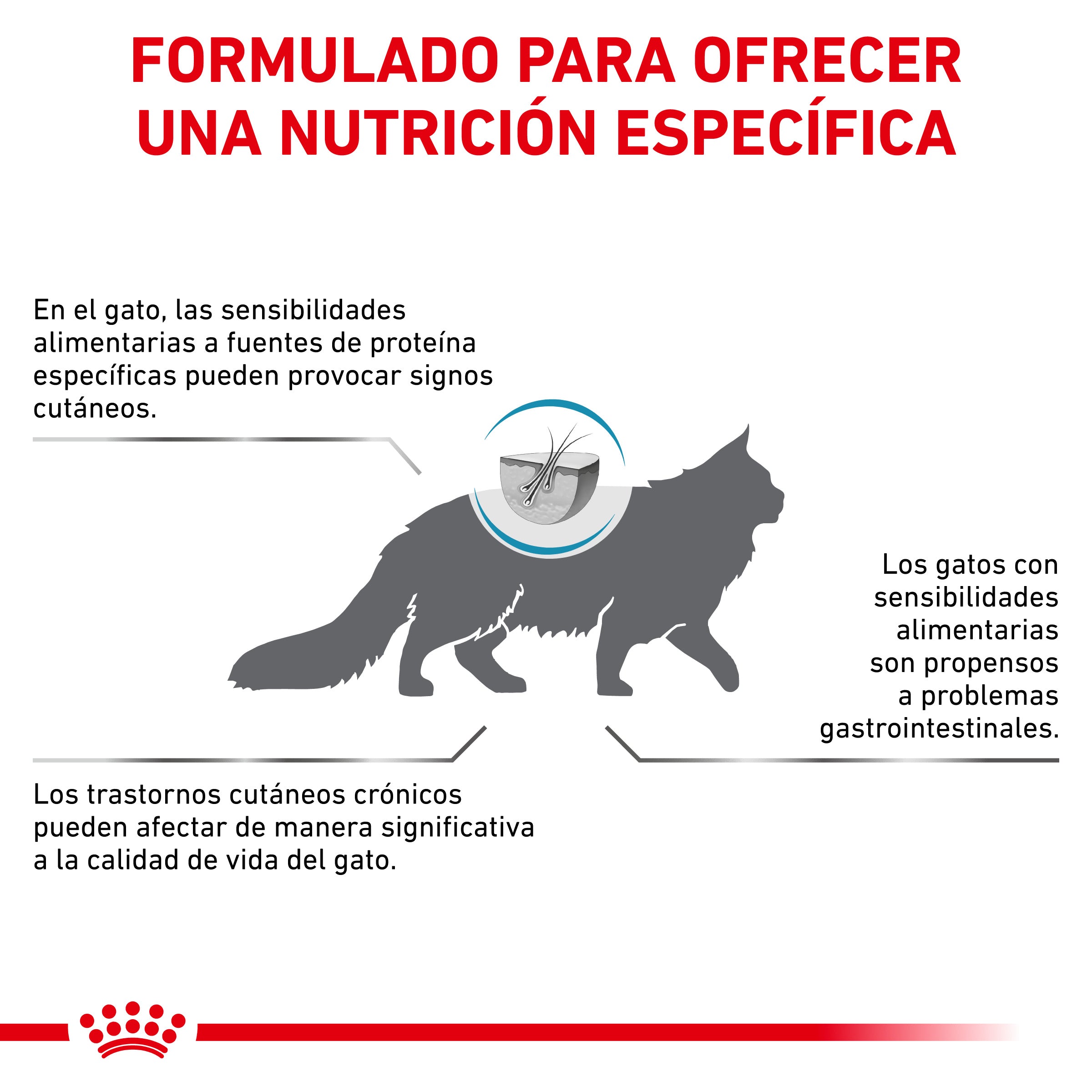 Royal Canin Veterinary Hypoallergenic Pienso para Gatos al mejor precio -Todoanimal.es