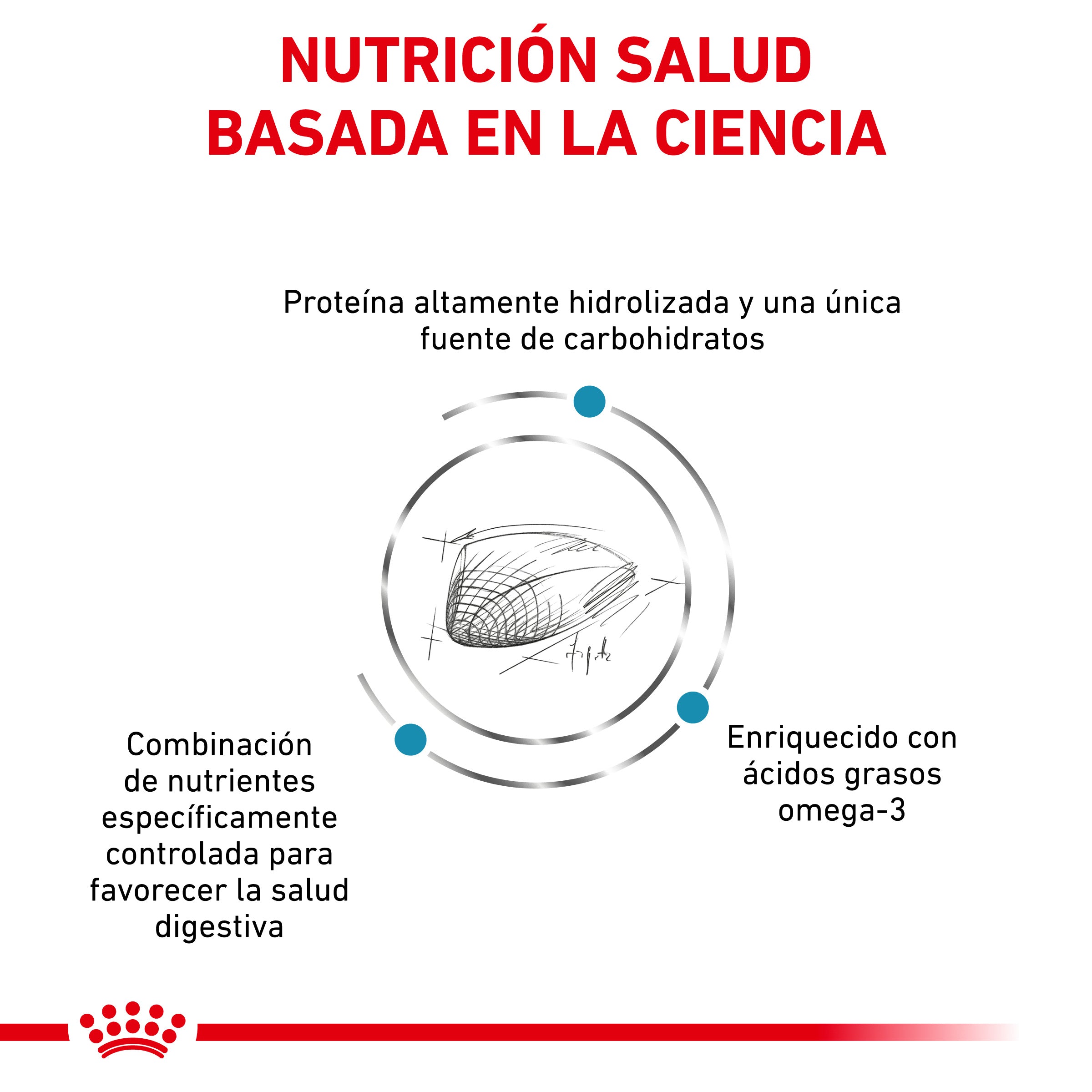 Royal Canin Veterinary Hypoallergenic Pienso para Gatos al mejor precio -Todoanimal.es