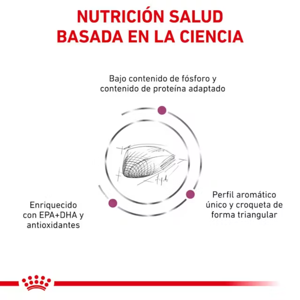 Royal Canin Veterinary Renal Special Pienso para Gatos al mejor precio -Todoanimal.es