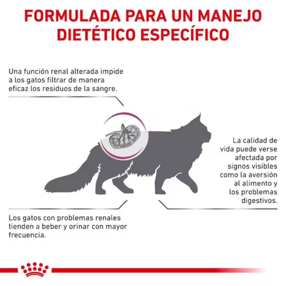 Royal Canin Veterinary Renal Special Pienso para Gatos al mejor precio -Todoanimal.es