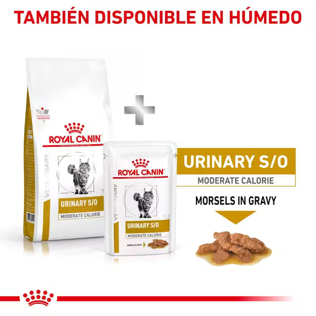 Royal Canin Veterinary Urinary S/O Moderate Calorie Sobre 85 g Sobre Alimento Húmedo para Gatos al mejor precio -Todoanimal.es