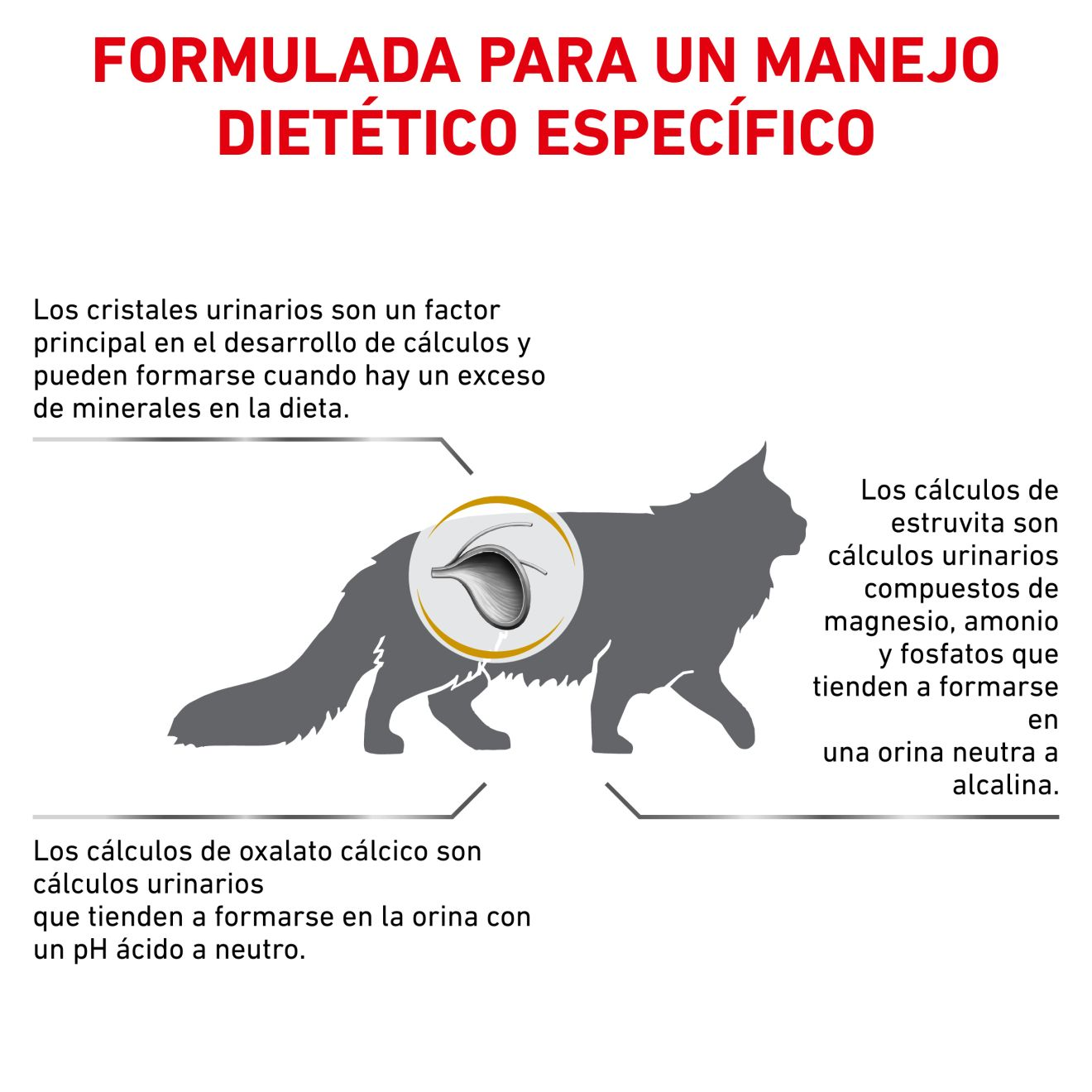 Royal Canin Veterinary Urinary S/O Pienso para Gatos al mejor precio -Todoanimal.es