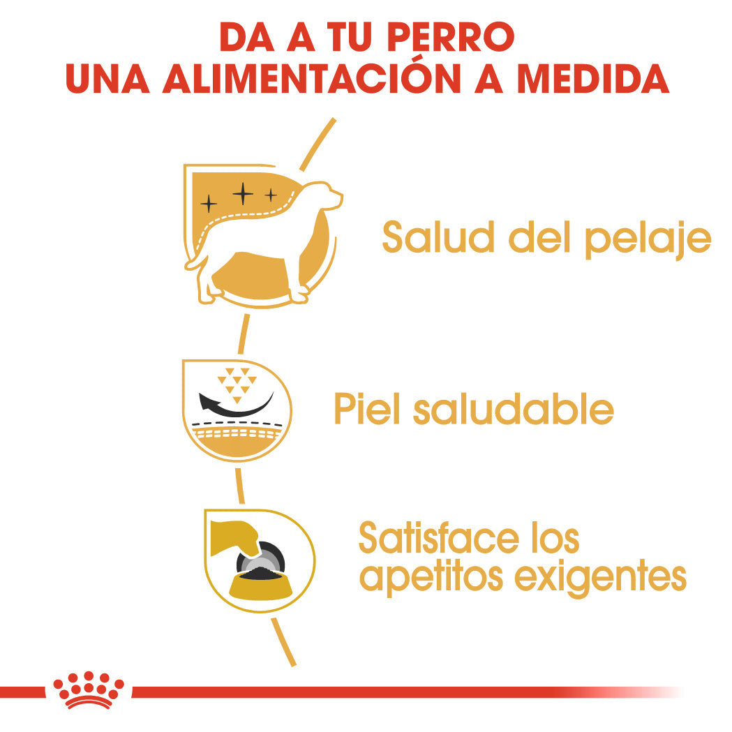 Royal Canin West Highland White Terrier Adulto Pienso para Perros de Raza al mejor precio -Todoanimal.es