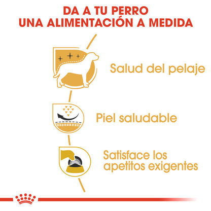 Royal Canin West Highland White Terrier Adulto Pienso para Perros de Raza al mejor precio -Todoanimal.es