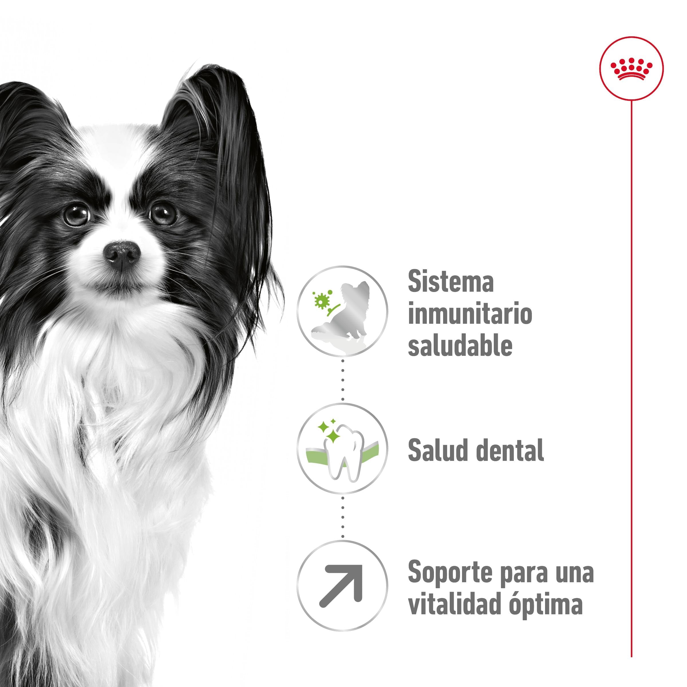 Royal Canin X-Small 8+ Pienso para Perros al mejor precio -Todoanimal.es