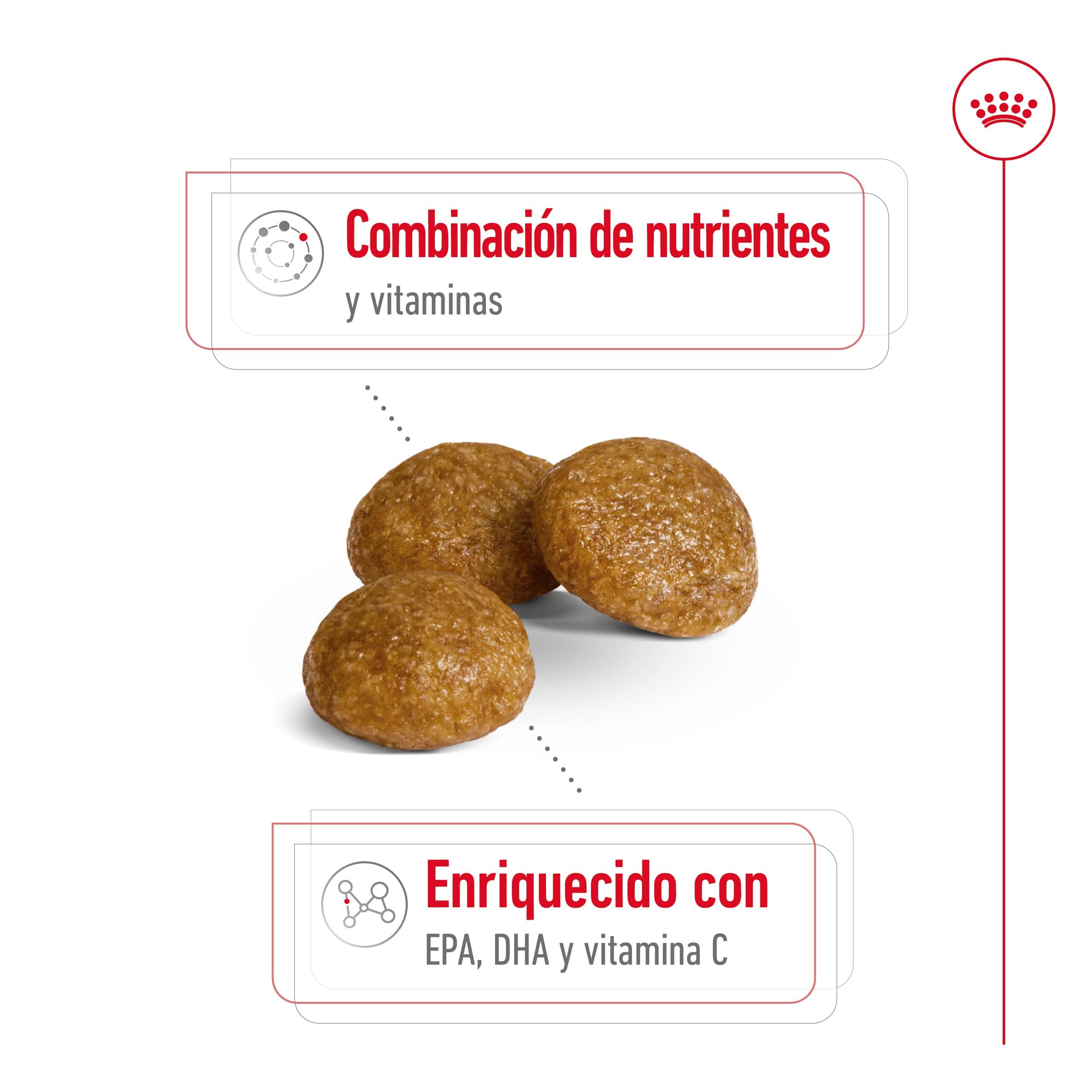 Royal Canin X-Small 8+ Pienso para Perros al mejor precio -Todoanimal.es